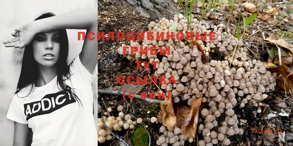бутик Покачи