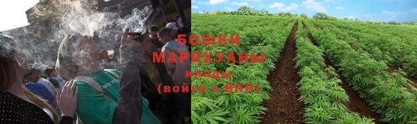тгк Покров