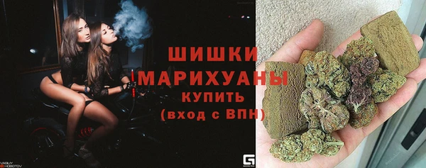 дмт Лагань
