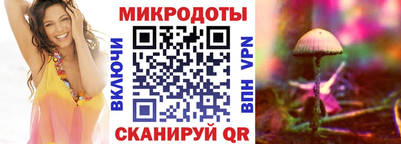 где продают наркотики  Советск  Галлюциногенные грибы GOLDEN TEACHER 