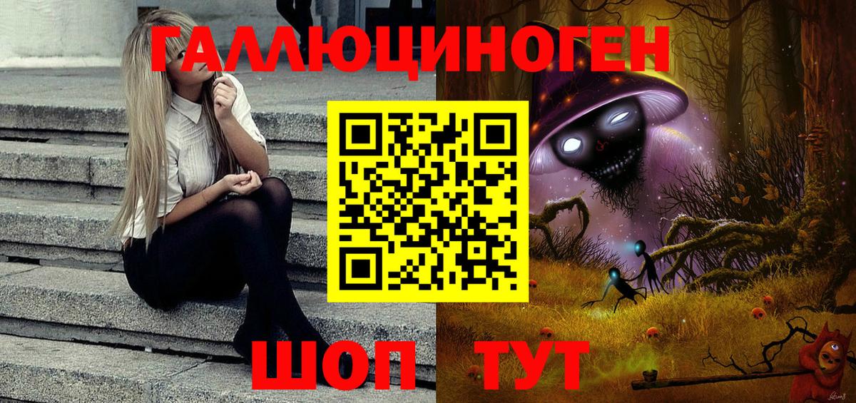 Псилоцибиновые грибы Psilocybe Советск