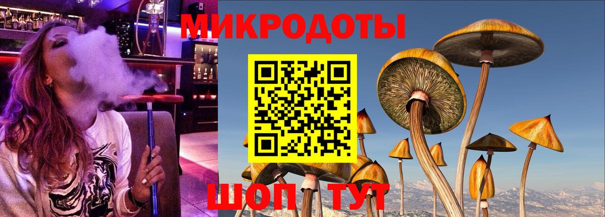 Псилоцибиновые грибы Magic Shrooms  Вход с VPN  Советск 